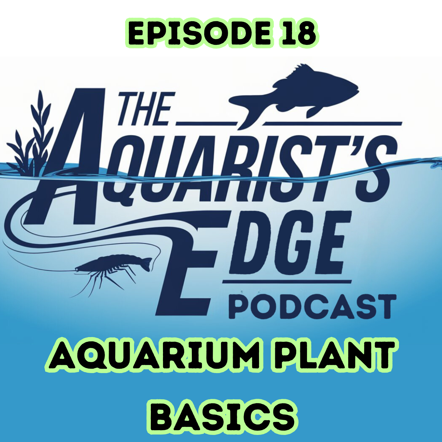 The Aquarist’s Edge [Weekly Aquarium Podcast]