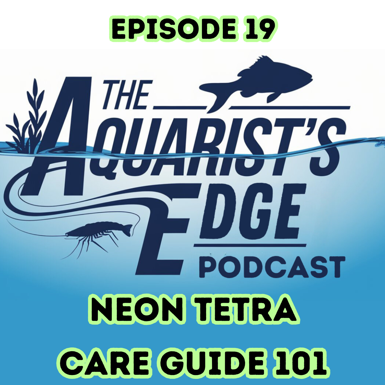 The Aquarist’s Edge [Weekly Aquarium Podcast]