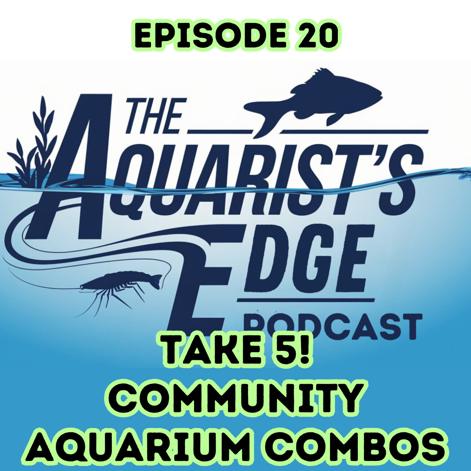 The Aquarist’s Edge [Weekly Aquarium Podcast]