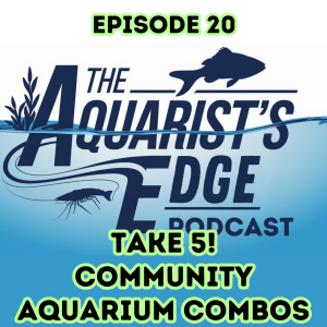 Take 5! Community Aquarium Combos