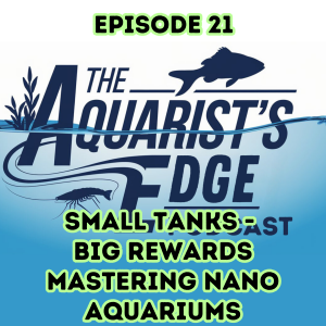 Small Tanks - Big Rewards: Mastering Nano Aquariums