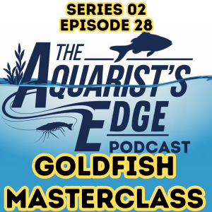Goldfish Care Masterclass: Varieties, Tank Setup, Filtration, Plants, and Enrichment