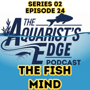 Inside The Fish Mind - Understanding Fish Behaviour