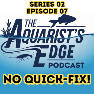 No Quick Fix - Developing A Problem-Solving Mindset In The Aquarium Hobby