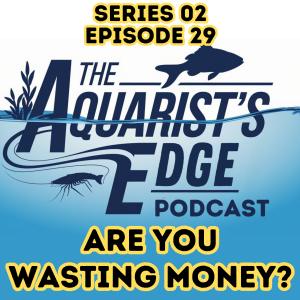 Are You Wasting Money on Gimmicks?