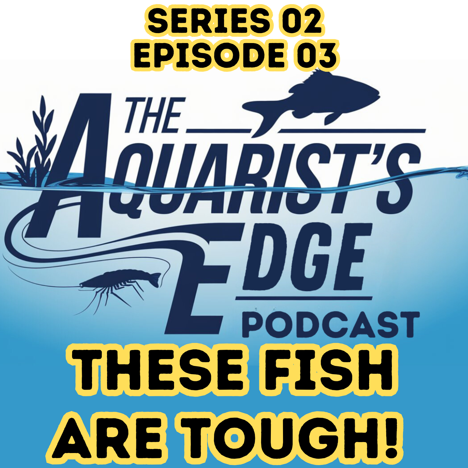 The Aquarist’s Edge [Weekly Aquarium Podcast]