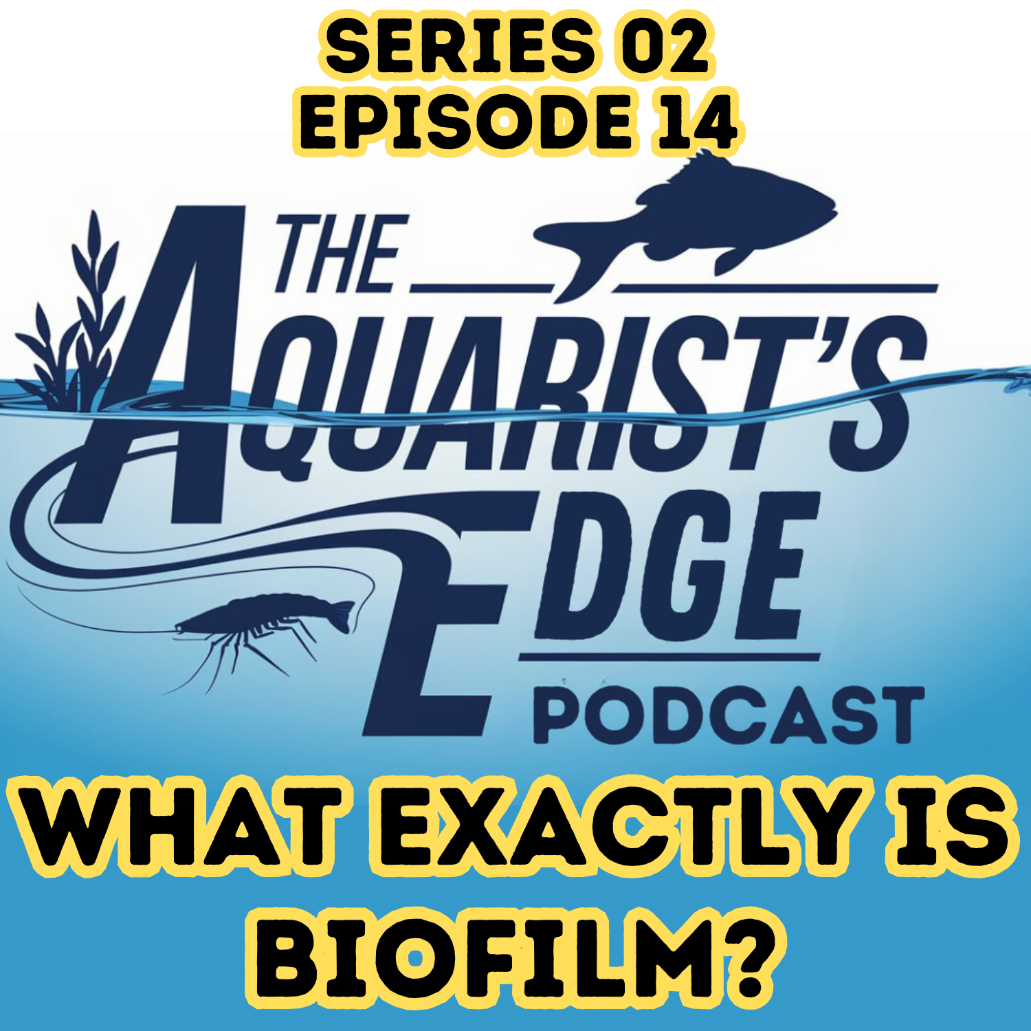 The Aquarist’s Edge [Weekly Aquarium Podcast]
