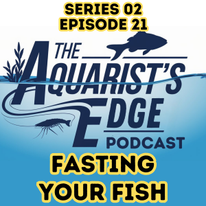 Why Fasting Your Fish Improves Health, Water Quality, and Tank Balance