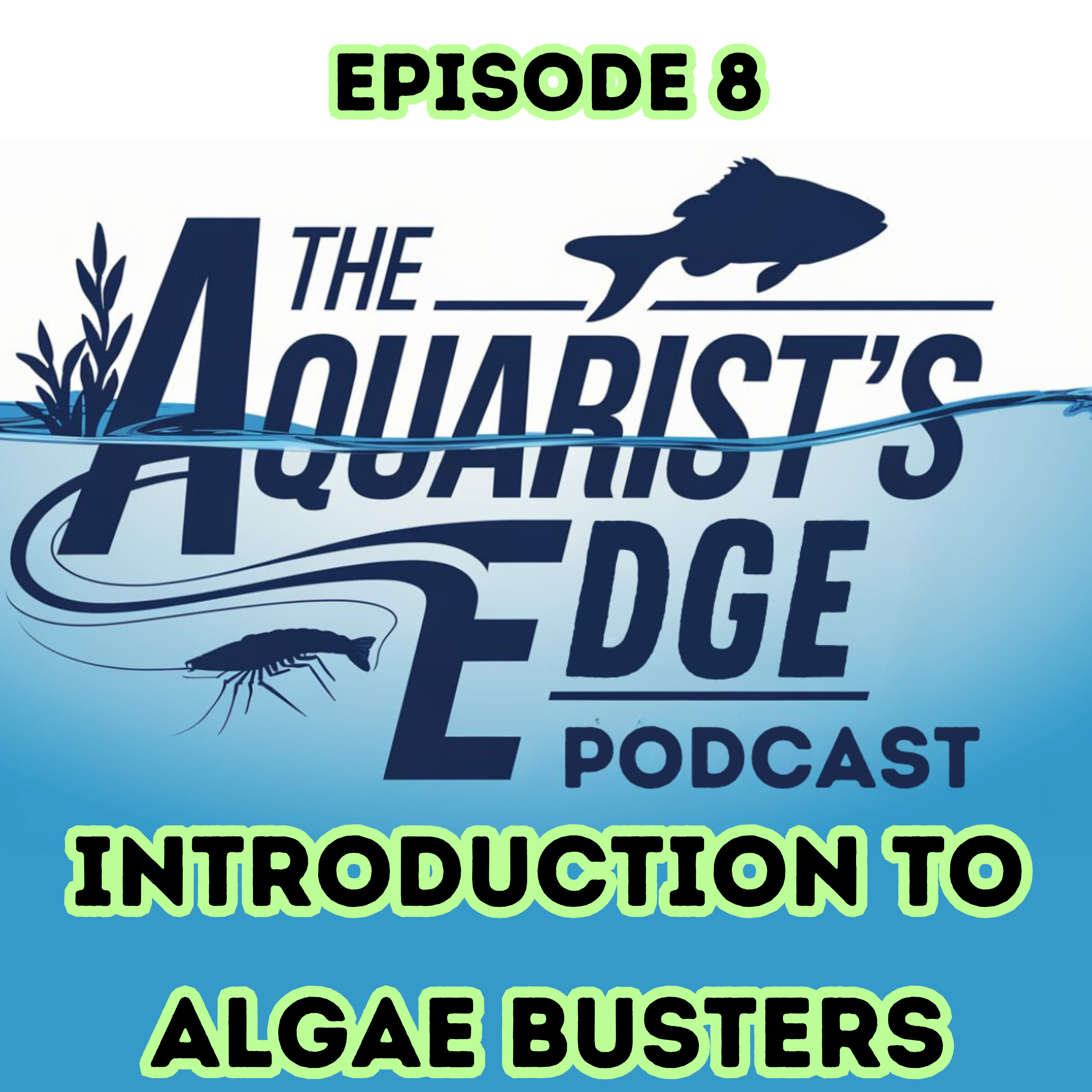 The Aquarist’s Edge [Weekly Aquarium Podcast]