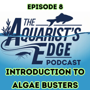 Introduction To Algae-Busters!