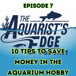 10 Tips To Save Money In The Aquarium Hobby