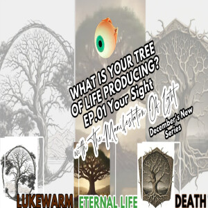 TMOL Presents: What Is Your Tree Of Life Producing (Your Sight)