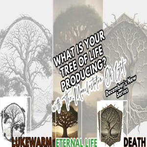 TMOL Presents: December's New Series: What Is Your Tree Of Life Producing Intro