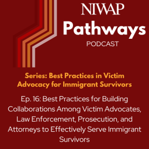 Best Practices for Building Collaborations Among Victim Advocates, Law Enforcement, Prosecution, and Attorneys to Effectively Serve Immigrant Survivors