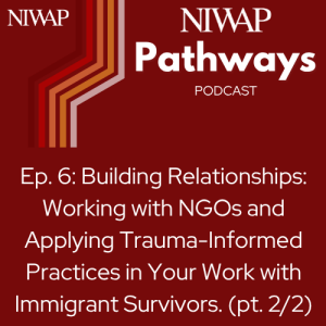 Building Relationships: Working with NGOs and Applying Trauma-Informed Practices in Your Work with Immigrant Survivors. (Part 2 of 2)