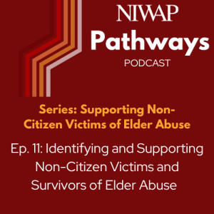 Identifying and Supporting Non-Citizen Victims and Survivors of Elder Abuse