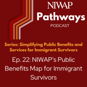 NIWAP’s Public Benefits Map for Immigrant Survivors