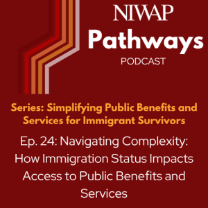 Navigating Complexity: How Immigration Status Impacts Access to Public Benefits and Services