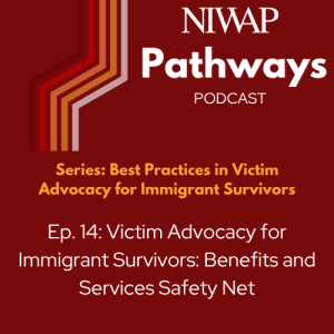 Victim Advocacy for Immigrant Survivors: Benefits and Services Safety Net