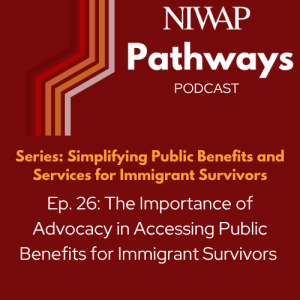 The Importance of Advocacy in Accessing Public Benefits for Immigrant Survivors