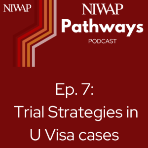 Trial Strategies in U Visa Cases