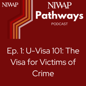 U-Visa 101 – The Visa for Victims of Crime