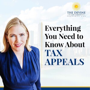 Everything You Need to Know About Tax Appeals