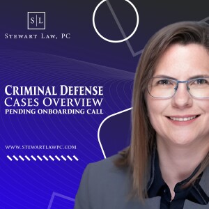 Criminal Defense Cases Overview