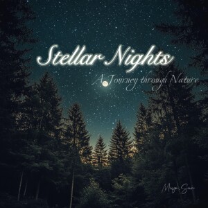 Nature music for meditation or sleep : Stellar Nights: Tranquil Journeys Through Nature's Soundscapes