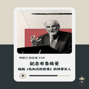 神經刀.自在道 (三十八)- 紀念布魯格曼:超越《先知式的想像》的神學巨人