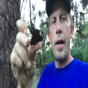 Predators to the rescue, East Texas bark boats, and important dates.