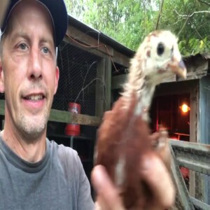 Do y’all say piddlin’, East Texas bats, and Rhode Island teenagers.