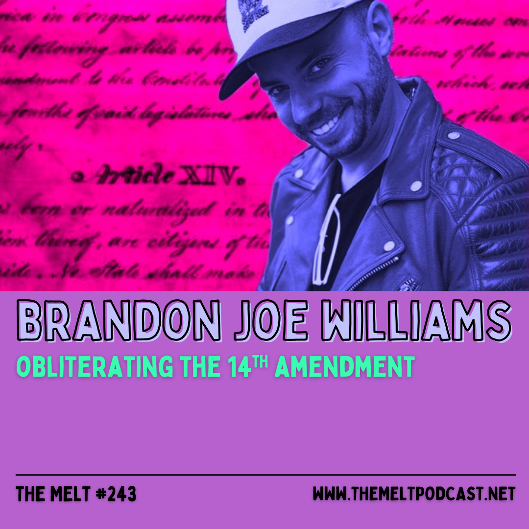 Brandon Joe Williams | Obliterating the 14th Ammendment