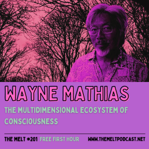 Wayne Mathias | The Multidimensional Ecosystem of Consciousness (FREE FIRST HOUR)