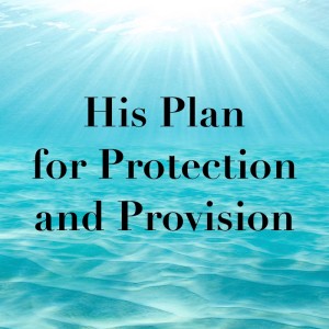 2020-01-19 - His Plan for Protection and Provision