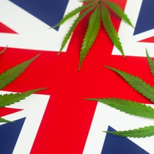 UK Cannabis Laws