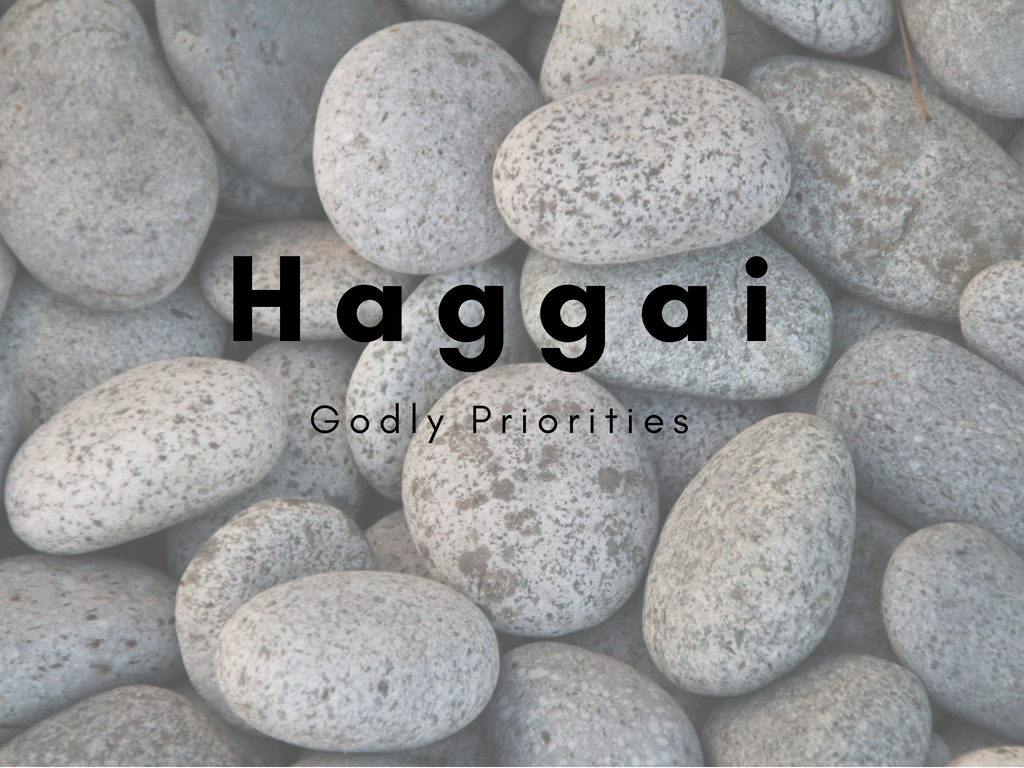 Anthony Petterson - Haggai: Godly Priorities - Haggai 2: 10-19 - 29.07.18
