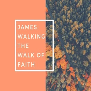 Dan Walz - James: Walking the Walk of Faith - One Day at a Time - James 4: 3-17 - 29.09.2019