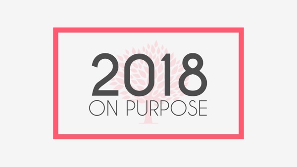 Dan Walz - Vision Sunday - 2018 On Purpose - 04.02.18