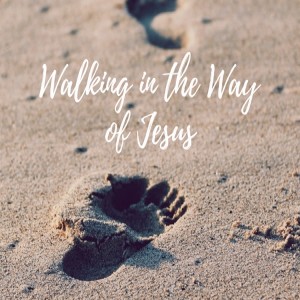 Dan Walz - Walking in the Way of Jesus - Walking in the Way of Love - John 13: 31-38 - 15.11.2020