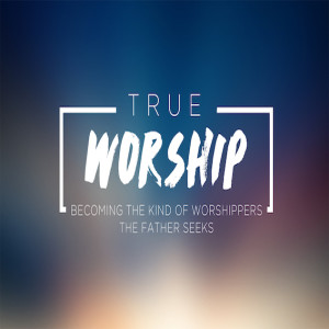 Dan Walz - True Worship - The Wonder of Worship - Isaiah 40 - 17.02.2019
