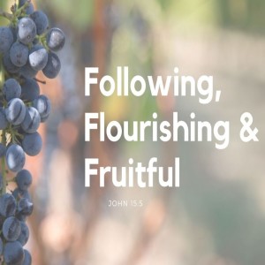 Dan Walz - Following, Flourishing & Fruitful - Becoming a Fruitful Church - 27.2.2022