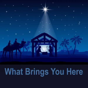 Dan Walz - What Brings You Here? - All Our Christmases - 25.12.2023