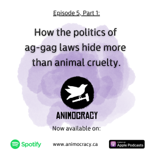 Episode 5, Part 1: How the politics of ag-gag laws hide more than animal cruelty.