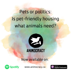 Episode 3: Pets or politics? Is pet-friendly housing what animals need?