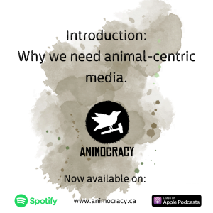 Introduction: Why we need animal-centric media