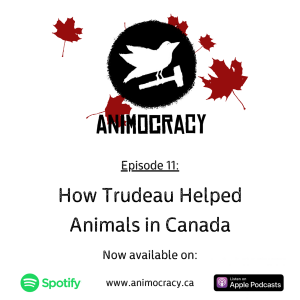 Episode 11: How Trudeau Helped Animals In Canada