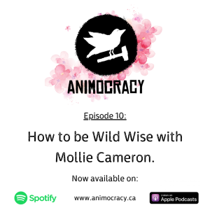 Episode 10: How to be Wild Wise with Mollie Cameron