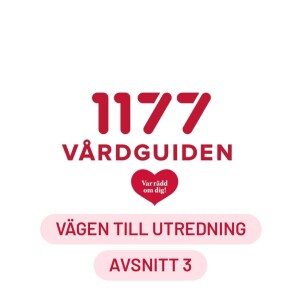 Vägen till utredning