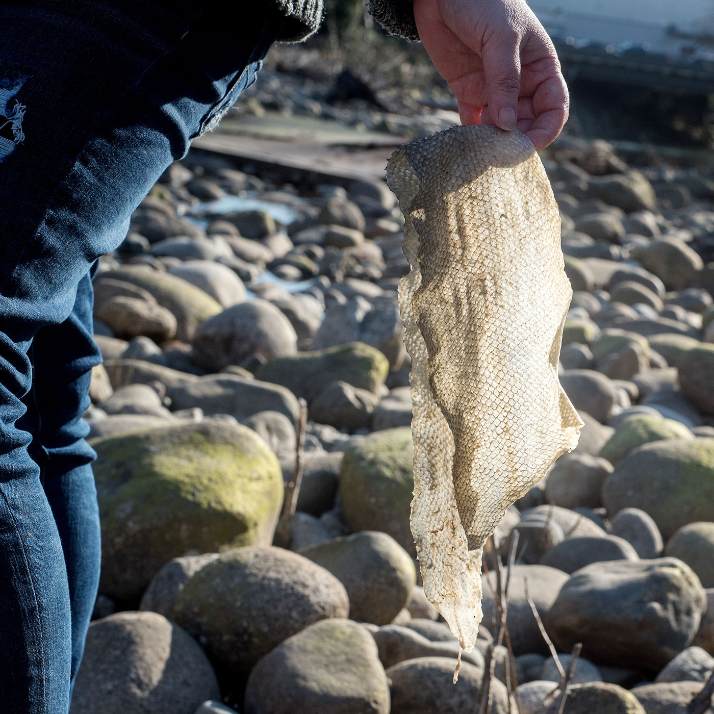 The Art of Turning Fish into Leather